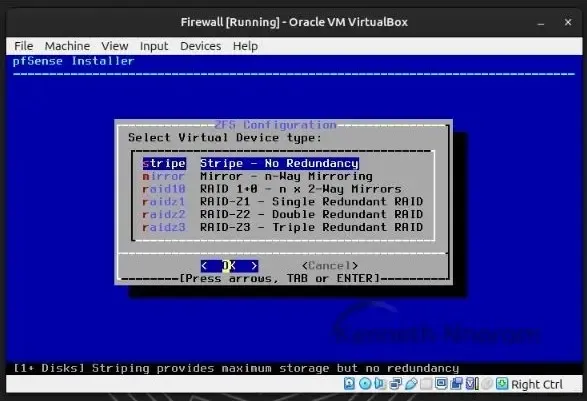 pfSense stripe vdev virtual disk selection