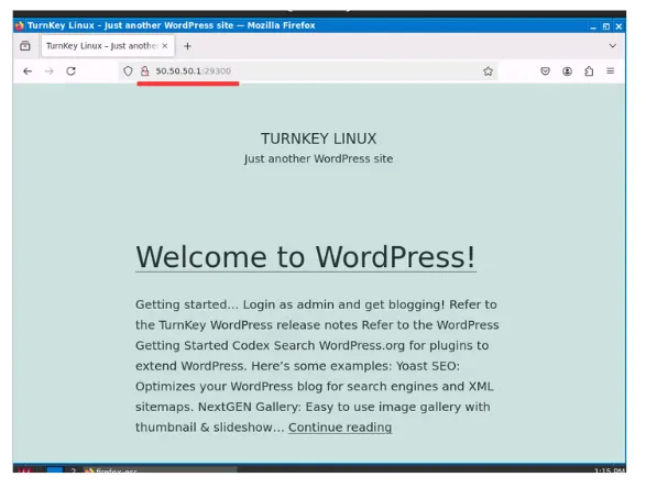 Browser view showing external client connecting to web server via public WAN IP and port