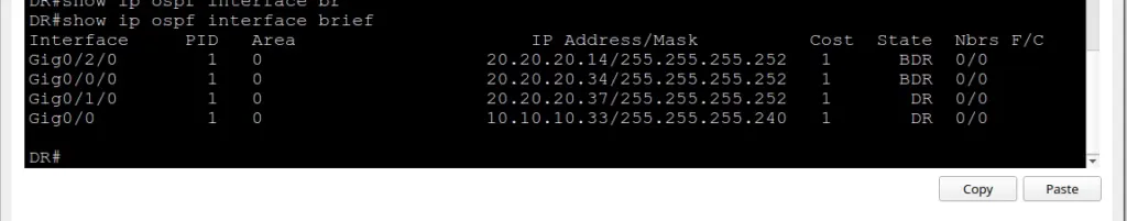 Terminal output of show ip ospf interface brief for Delta Router