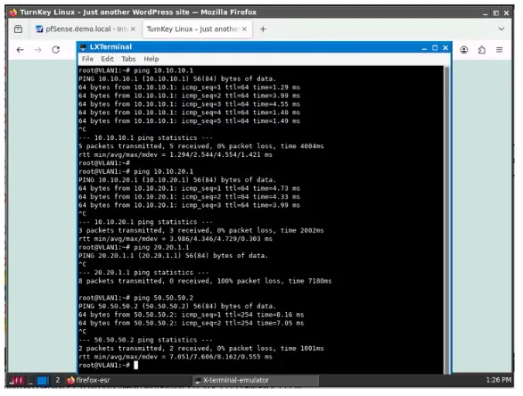 Terminal output of ICMP ping from VLAN 1 management host to other VLANs