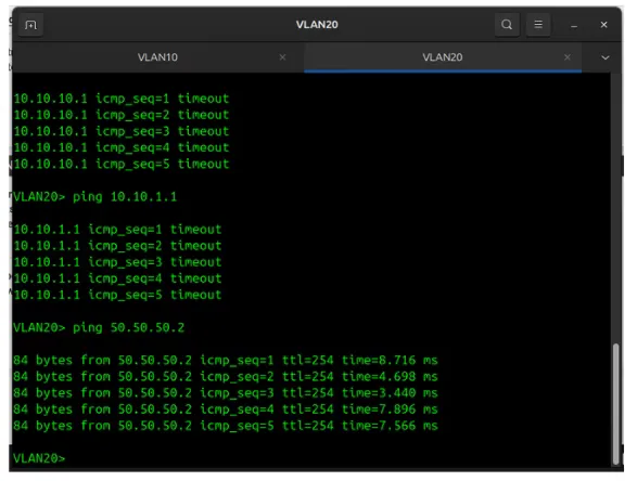 Terminal output showing ICMP ping results from VLAN 20 validating network segmentation